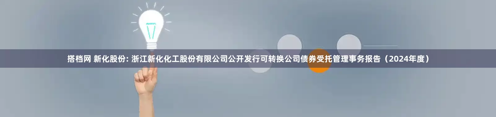 搭档网 新化股份: 浙江新化化工股份有限公司公开发行可转换公司债券受托管理事务报告（2024年度）