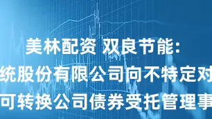 美林配资 双良节能: 双良节能系统股份有限公司向不特定对象发行可转换公司债券受托管理事务报告（2024年度）